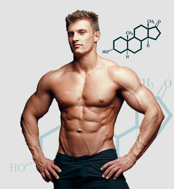how to increase testosterone levels quickly in hindiPicture